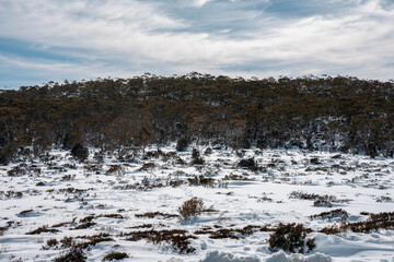 Ice on the road on a mountain in winter in australia mountain in a national park looking over a city below, mt wellington hobart tasmania australia in summer. snow on the roads.