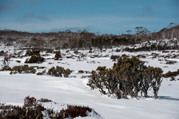 Ice on the road on a mountain in winter in australia mountain in a national park looking over a city below, mt wellington hobart tasmania australia in summer. snow on the roads.