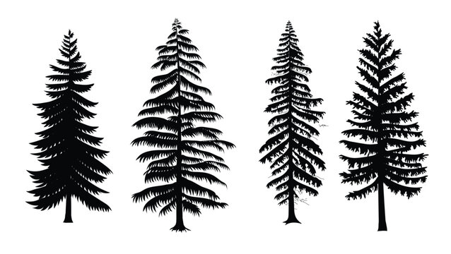 Collection of pine trees vector
