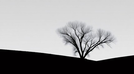 Lone silhouetted tree standing on a hill representing minimalism, solitude, tranquility, and growth in winter landscape