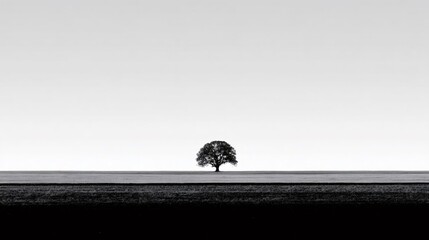 Solitary tree standing in a vast, minimalist black and white landscape, demonstrating strength and endurance