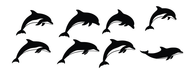 dolphins in various poses