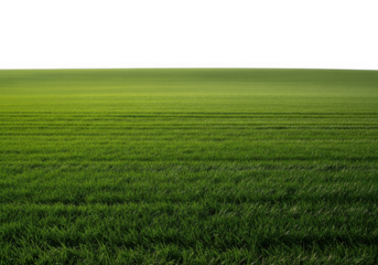 Lush green grass field landscape agriculture farming meadow pasture scenery background image stock photo isolated on transparent background