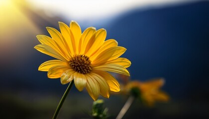 Vibrant Yellow Flower In Natural Setting