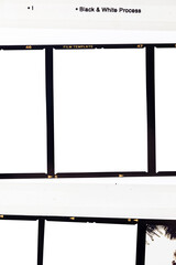 120 film size medium format color film frame.With white space.