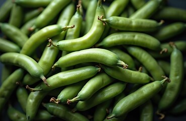 Pile of fresh fava beans illustrated. Raw green broadbeans harvest texture. Fava ingredient for healthy seasonal cooking recipes. Organic vegetarian pods for fiber nutrition and dietary meals.