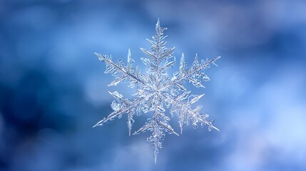 super detailed macro snowflake on soft blurred blue background, perfect symmetry