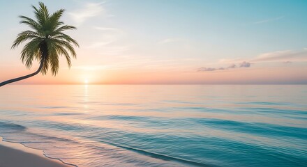 A lone palm tree bends over a serene beach at sunset.