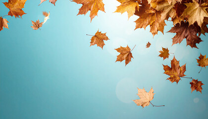 Autumn Leaves Drifting in the Blue Sky