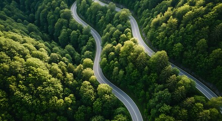 Photo of aerial view of a winding road through a dense green forest on a sunny day