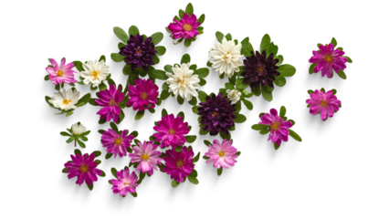 colorful flower arrangement, mixed floral pattern, vibrant floral background, assorted flower mix, blooming flower collection, fresh floral design, decorative flower layout, spring blossom pattern, co