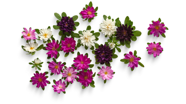 colorful flower arrangement, mixed floral pattern, vibrant floral background, assorted flower mix, blooming flower collection, fresh floral design, decorative flower layout, spring blossom pattern, co - Powered by Adobe