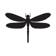 Dragonfly vector illustration on white background flying with detailed wings