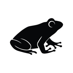 Cute green frog vector illustration on white background