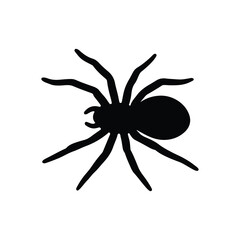 Black spider illustration on a white background