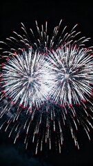 A dazzling display o