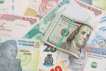 Nigerian naira currency money bills and bunch of us dollar banknotes close up. The concept of economics and currency exchange