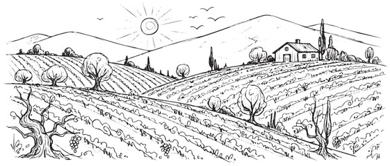 Fototapeta premium A black and white drawing of a farm with a sun in the sky. The sun is shining on the hills and the trees