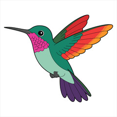 Obraz premium Vibrant cartoon hummingbird vector art illustration graphic design isolated on white background, Vector, illustration