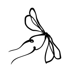 Doodles of a decorative holiday bow. Vector graphics.