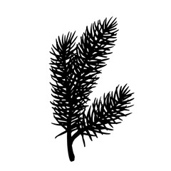 Naklejka premium Botanical silhouette of a coniferous tree branch. Vector graphic.