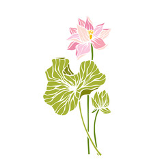 Colorful aquatic plant, lotus flower. Decorative botanical element. Vector graphics.