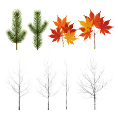 Realistic Pine Branches, Autumn Maple Leaves, and Bare Tree Branches Set