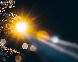 A radiant sunrise with a burst of golden light and a soft bokeh effect in the morning