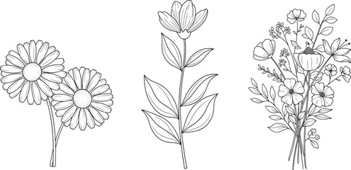 Trio of floral line art sketches with daisies, poppies, and leaves for coloring, tattoo, botanical, and decorative design use