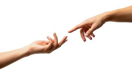 Vibrant Red and Yellow Autumn Maple Leaves Border Isolated on Clean White Background