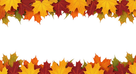 Vibrant Red and Yellow Autumn Maple Leaves Border Isolated on Clean White Background