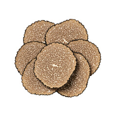 Fototapeta premium Close-up of several thinly sliced truffles, showcasing intricate patterns and textures.