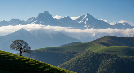 Image is a landscape photograph featuring a serene and expansive view of a mountainous region. In the foreground, a solitary, leafless tree stands on a gently sloping grassy hill, adding a sense of sc