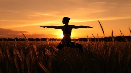 Silhouette of a woman doing yoga warrior pose in a field at sunset - Powered by Adobe