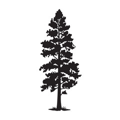 🌲 Detailed Black Silhouette of a Tall Pine or Conifer Tree