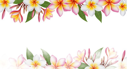 Delicate Plumeria Flowers Border with Green Leaves, Tropical Floral Design Element for Summer and Tropical Themes