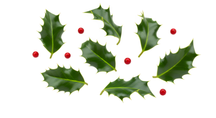 Holly leaves and berries arranged in a festive pattern on a white background