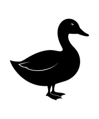 Silhouette of a Duck Standing Calmly A Graceful Representation of Wildlife and Nature in a Simple Yet Elegant Design