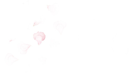 Abstract Floral Watercolor Background with Soft Pink Hues and Delicate Petal Details