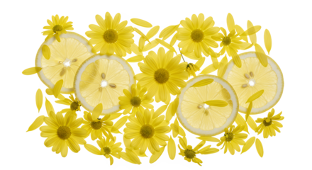 Bright Citrus Blossom A Sunny Blend of Lemon Slices and Yellow Flowers on White