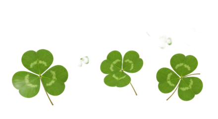 Three vibrant green clover leaves, symbolizing luck and springtime, isolated on a clean white background