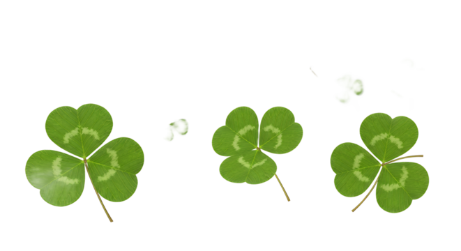Three vibrant green clover leaves, symbolizing luck and springtime, isolated on a clean white background