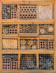 Wooden bug house at public park