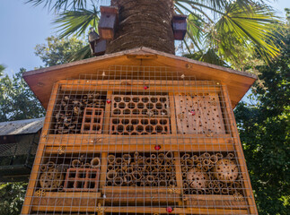 Wooden bug house at public park
