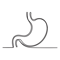 Fototapeta premium Minimalist black line drawing of a human stomach on white background human anatomy organ