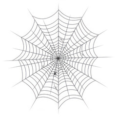 Fototapeta premium Intricate spider web with tiny spider detail for halloween and nature themes