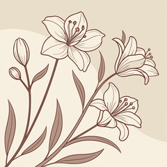 Floral Elegance: A delicate illustration of blooming lilies, showcasing intricate details and graceful lines on a soft background, evoking feelings of serenity and natural beauty.