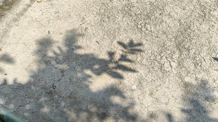 Shadows of leaves on a textured surface