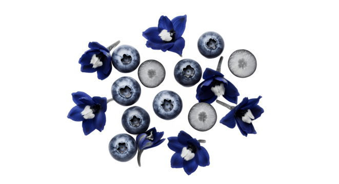 Festive Blueberry and Flower Arrangement on White Background A Floral Feast for the Eyes