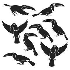 Toucan bird silhouette vector collection